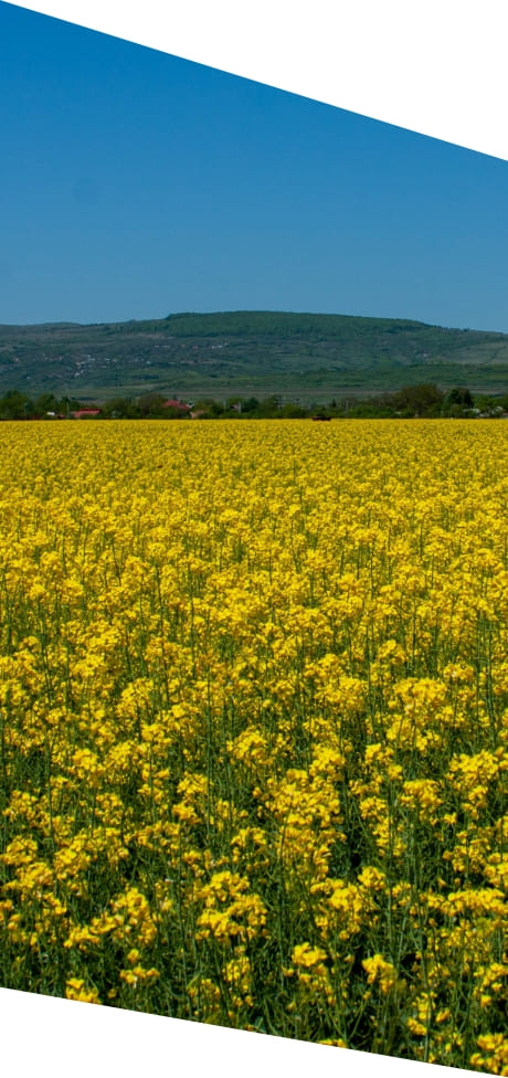 Intro Agriculture